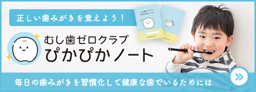 正しい歯みがきを覚えよう！むし歯ゼロクラブ ぴかぴかノート 毎日の歯みがきを習慣化して健康な歯でいるためには